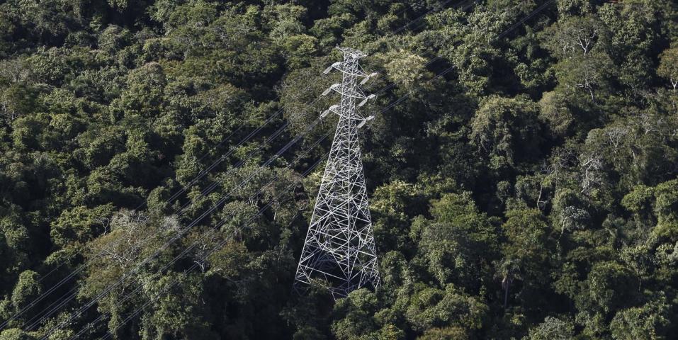 Planting trees across an area the size of the US would be the best way to combat climate change, researchers in Switzerland say.

There is potential for trees to be planted across 2.2bn acres around the world, with 11.37 million acres of this in the UK 🌲

tinyurl.com/yxfwff39