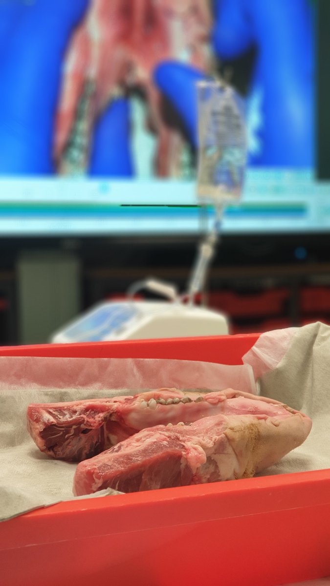 Chomping at the bit to see the practicals in action #implantdentistry <a href="/FGDP_UK/">FGDP(UK)</a>