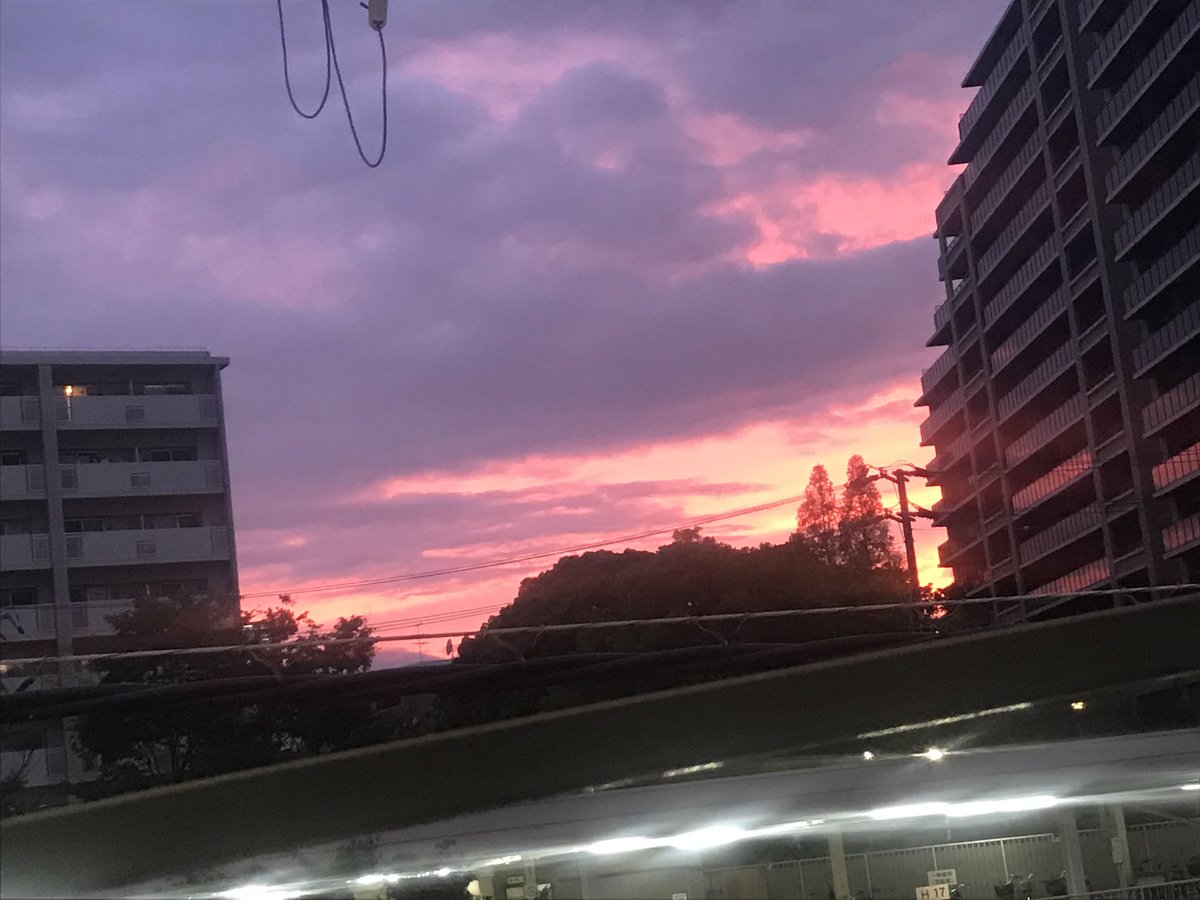 今日の空😬
ピンクかわいいよね💕
国家試験終わったら写真撮りに行けるの待ち遠しいがんばらねば🥺🥺