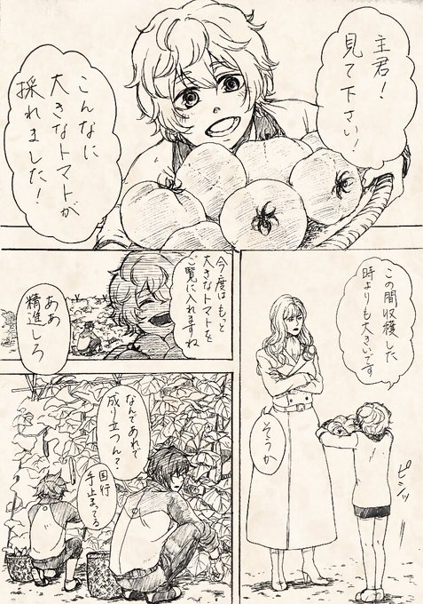 女帝と秋田くん
※女審神者 