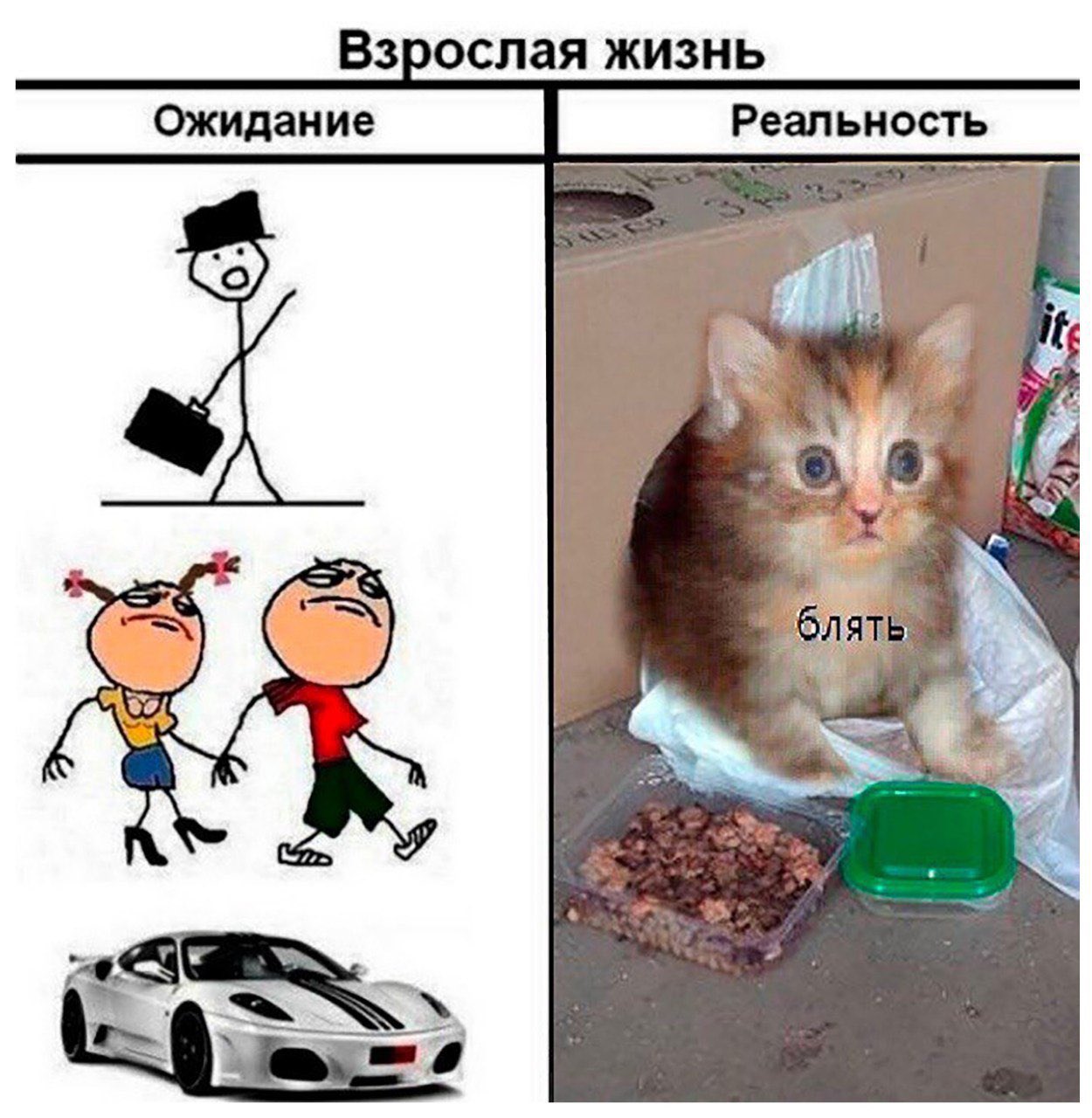Взрослая жизнь