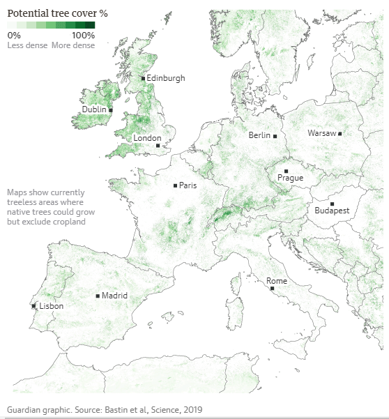 ecowebhostinguk's tweet image. &quot;Planting billions of trees across the world is by far the biggest and cheapest way to tackle the climate crisis&quot;: theguardian.com/environment/20…

And look at all that possible space in the UK! (If you know of someone who has permission to plant trees, give us a shout.)