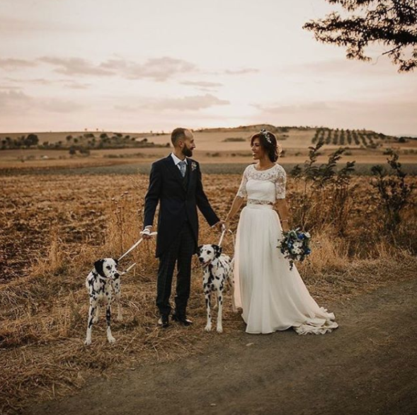 revistanovias_'s tweet photo. ¡Feliz fin de se semana! ❤️🐶💍
#protocolo #protocolonovios #revistanovias
(📷 @protocolonovios) https://t.co/qlIGltr4Gt
