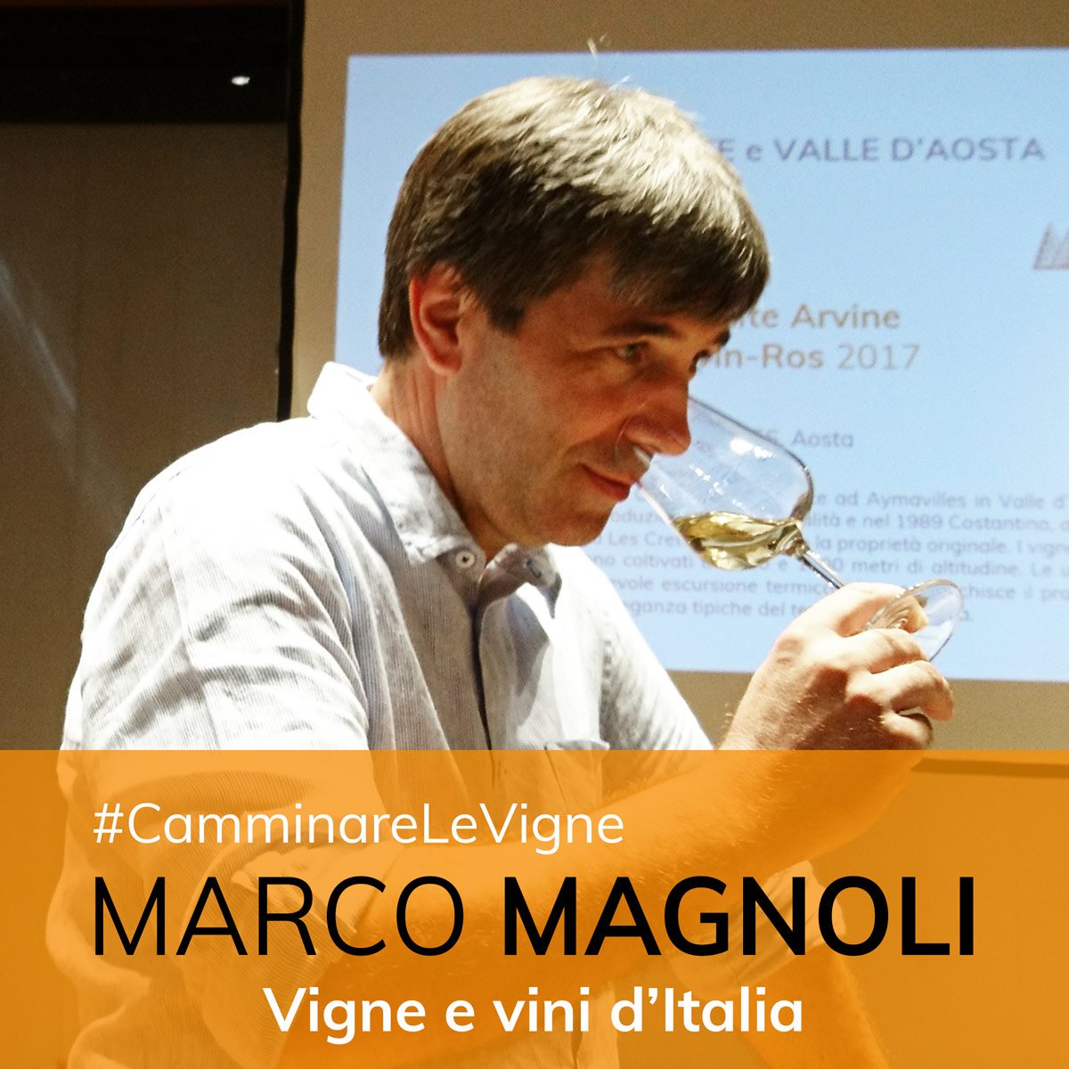 #CamminareLeVigne
Arco Alpino - Alto Piemonte e Valle d'Aosta
VIGNE E VINI D'ITALIA

Oggi si è concluso l'approfondimento sulle produzioni vitivinicole dell'arco alpino italiano con l'importante intervento di #MarcoMAGNOLI. 

#AltaScuolaVeronelli
#Piemonte
#ValledAosta