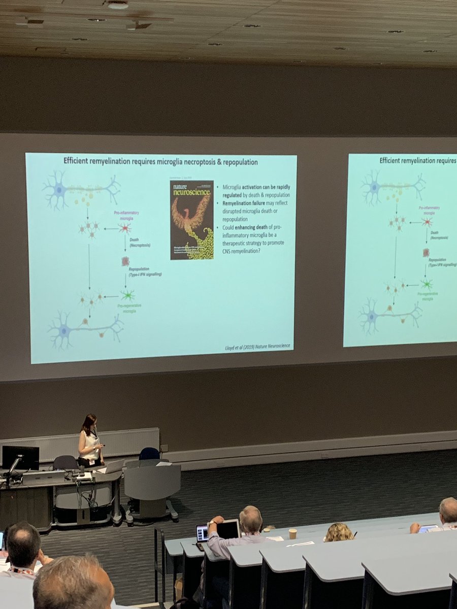 Fantastic talk by Veronique Miron @MironLab at #MSFrontiers <a href="/mssocietyuk/">MS Society UK</a> describing the rise of regenerative microglia after necroptosis like a Phoenix from the ashes, and the importance for remyelination