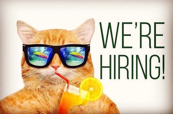 Hey Everyone, we are looking for a full time chef to join our friendly team. We are looking for someone with experience in Vegan or Vegetarian cooking in a professional kitchen. Please apply to vegans@seedsforthesoul.co.uk