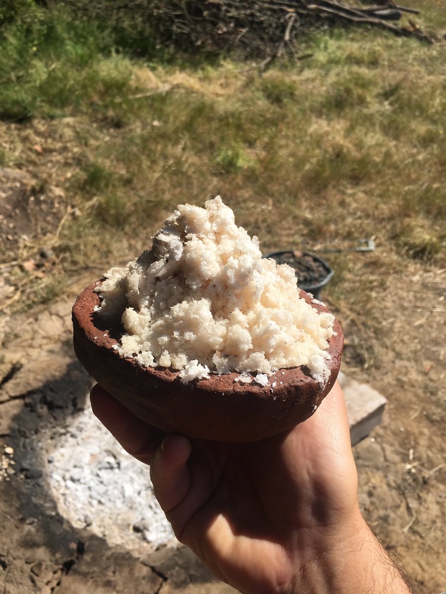 place_project's tweet photo. Want to see us make salt in a medieval style? Join us this Sunday between 11 and 4 for tours of our excavations, finds talks and to see experimental reconstructions. Look out for signs from the Norden roundabout or put “Wytch Passage” BH20 5JR into sat navs https://t.co/cq2aLeNQl6