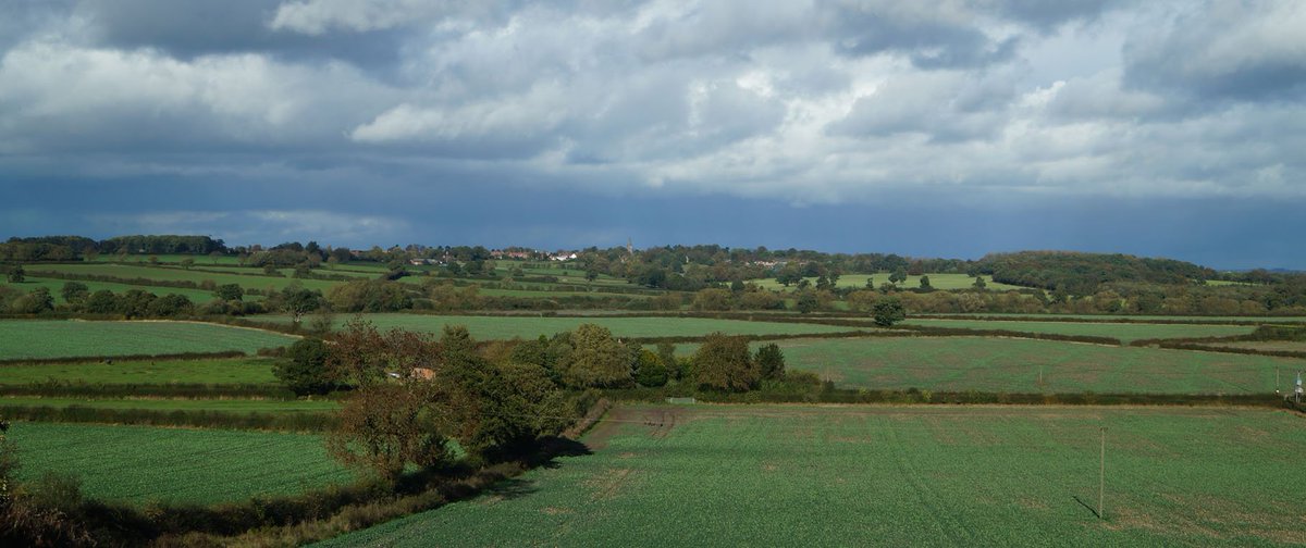 Lord Hopton's tweet media