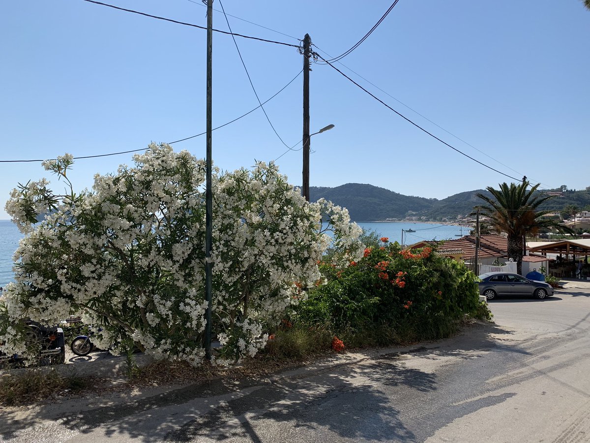 It couldn‘t be better. Spending some relaxing days with the fam in corfu.