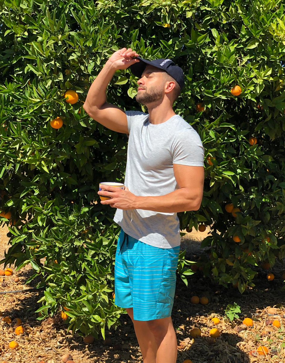 Naranjas para zumo mañanero