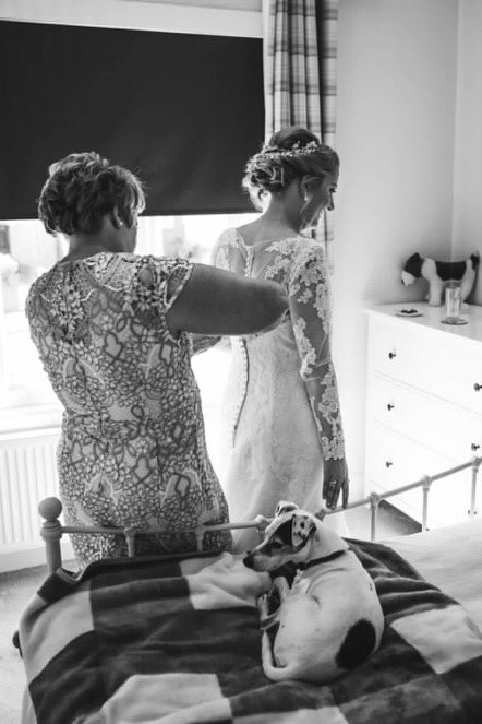 MaxineOlsonDYRP's tweet photo. Getting in on the wedding preparations 🐶  #dogs #partofthefamily #weddingphotography #weddingphotographer #northampton https://t.co/YbwYE1WGnb