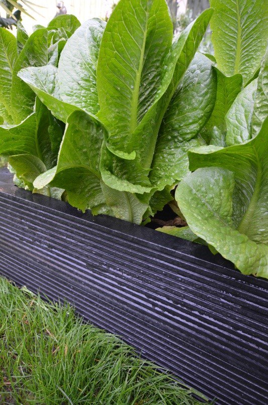 Plaswood raised beds made from 100% recycled plastic – for the sustainable gardener bit.ly/2NwxFDn
#RaisedBed #RaisedBedGardening #RecycledPlastic  #Sustainability  #Gardening