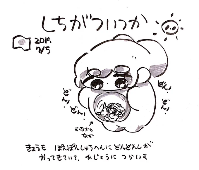 ファンファン #おもちにっき 