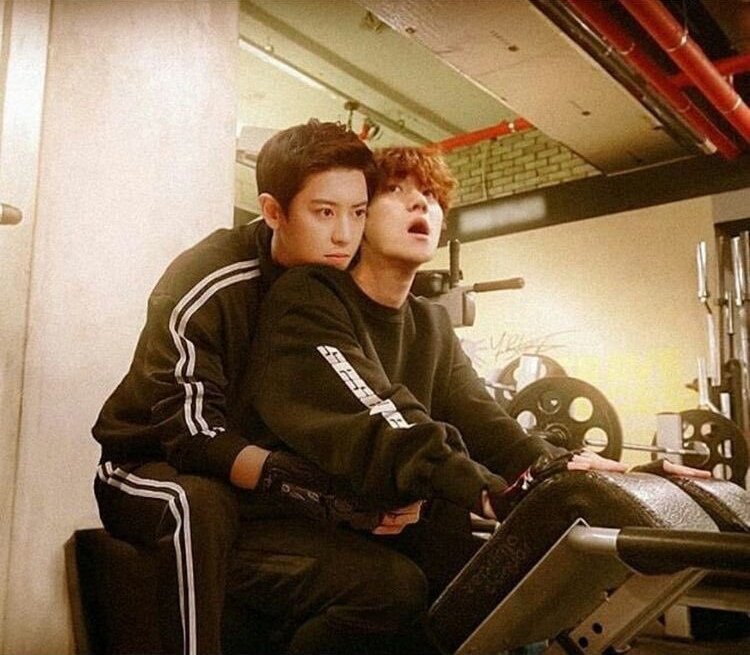 _exol_cb2's tweet photo. "แบคทำไร"
'ฟิตกล้ามไง'
"มึงจะมีไปทำไมกล้าม"
'ทีมึงยังมีเลยกูก็อยากมีบ้างป่ะ'
"แล้วเล่นเป็นหรอ"
'เล่นไม่เป็นอะ...มึงก็มาสอนกูซิ'
"หันหน้าไปเอามือวางไว้ตรงนั้น"
'เดี๋ยว!...มึงต้องจับเอวกูด้วยหรอวะ'
"เออซิวะมันเป็นท่า"
'แต่หน้ามึงจะใกล้กูไปแล้วนะ'
"เมื่อคืนใกล้กว่านี้ไม่เห็นบ่น" https://t.co/AxG852mq3h