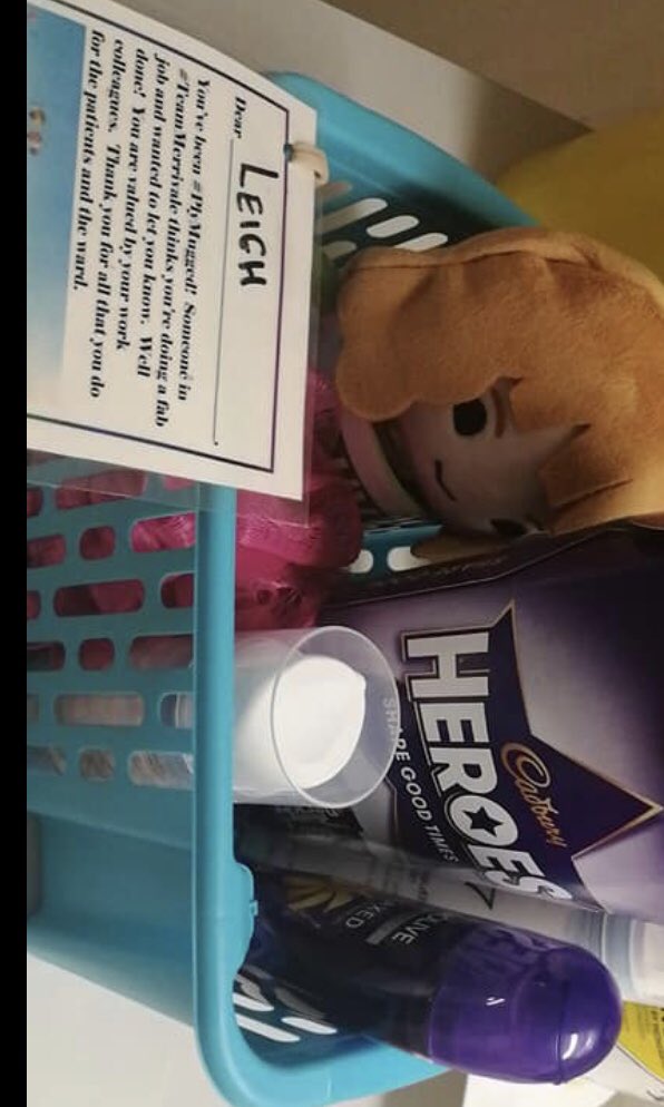 DepHeadClinEd's tweet photo. #PlyMugging is spreading thru #TeamMerrivale. Congrats to Liegh, the fab Ward Administrator on #MerrivaleWard @UHP_NHS. She does an amazing job &amp; gr8 to see her colleagues recognising &amp; valuing her hard work. Thanks Liegh. @TanyaMadden20 @openside1471 @SueSuejohnson7 @EdCoxNHS https://t.co/drTDHJ7FzN