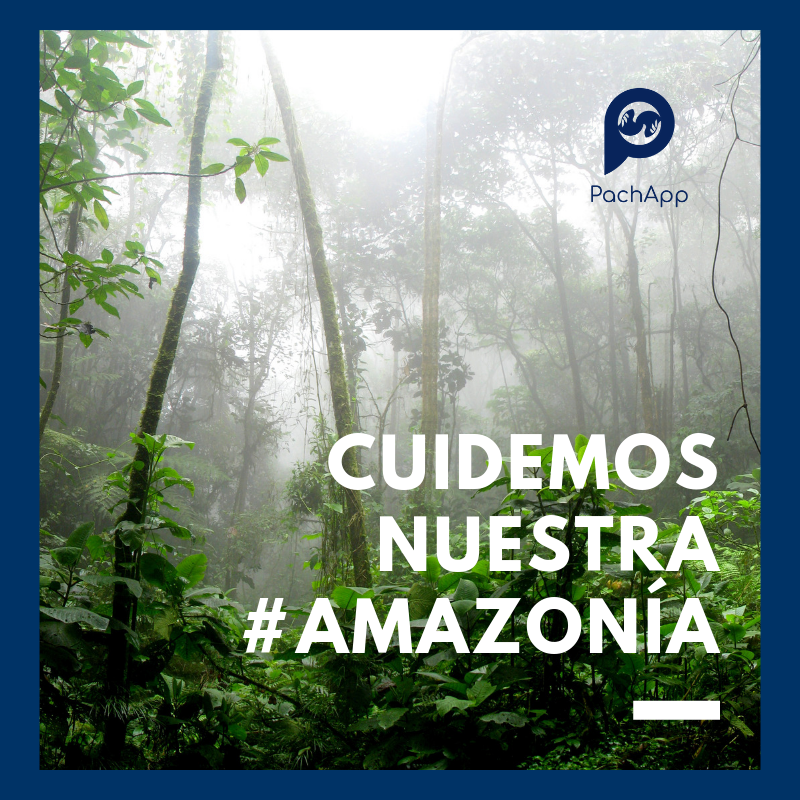 PachAppPeru's tweet photo. Los #recursos no son ilimitados 🙈🙈🙈
#cuidamos nuestra #AmazoniaPeru 🌱 🌱 🌱 
Web: https://t.co/sWbT0KIwko
Email: hola@pachapp.pe
WhatsApp :https://t.co/xAoKPNP3oZ https://t.co/4kR1ESyvXH