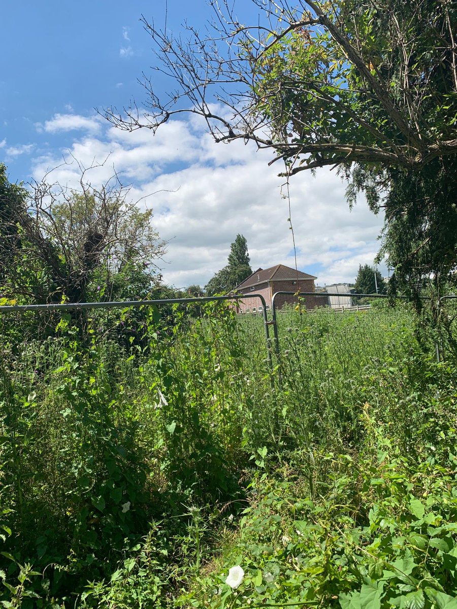 moray_low's tweet photo. Great couple of days this week with @georgejwlamb focusing on unbuilt consented sites. If you’re a house builder looking for land in the South West get in touch. @ThomasMaeLand @LNHNetwork @WillComplete #land #planning #newhomes #developmentconsultancy #transition #lifeafterrugby https://t.co/JmBV82U1Lz