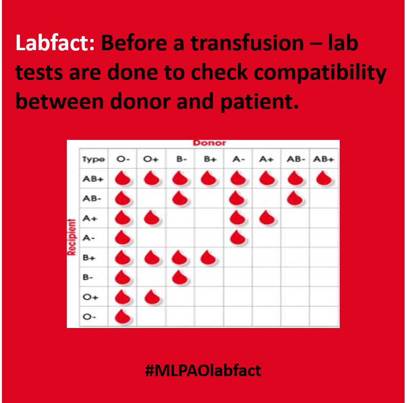 MLPAOnews's tweet photo. 💉Before a transfusion – lab tests are done to check compatibility between donor and patient! #transfusion #blood #labfact #donor #bloodforlife #beadonor https://t.co/uyBMcQxbq4