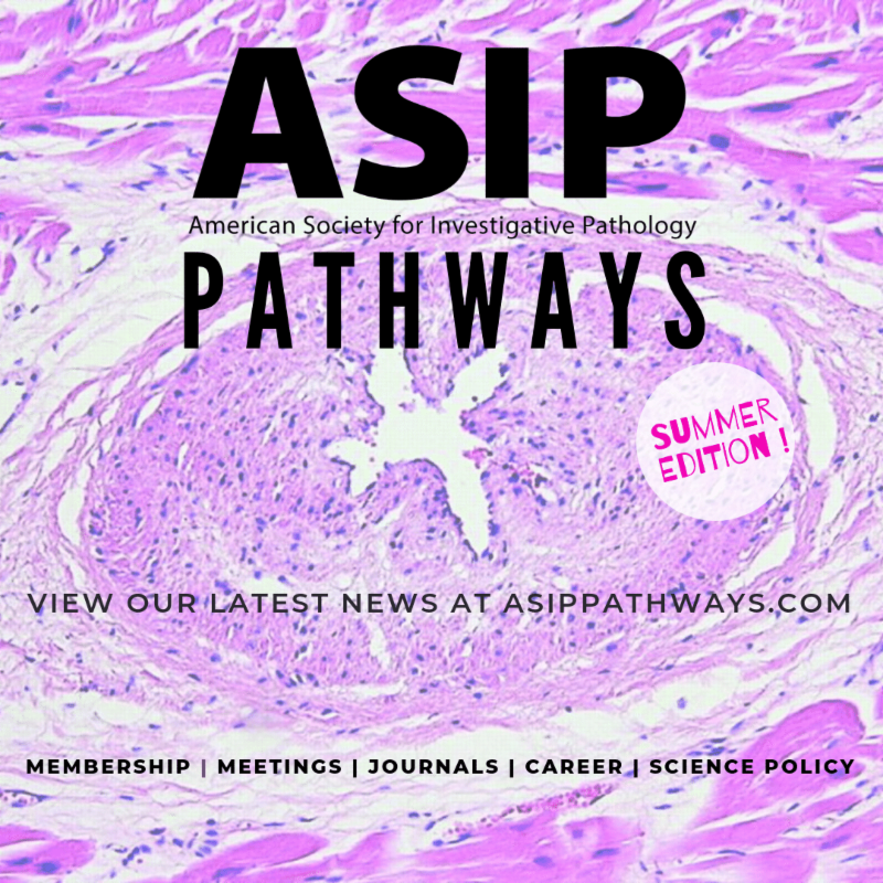 ASIPath's tweet photo. Have you checked PathWays Lately? Don't miss the latest news from our online newsletter! #News #SciComm #Path #Pathology #PathNews #Members https://t.co/xj1fZWYsCx https://t.co/jkpqZfzHfo