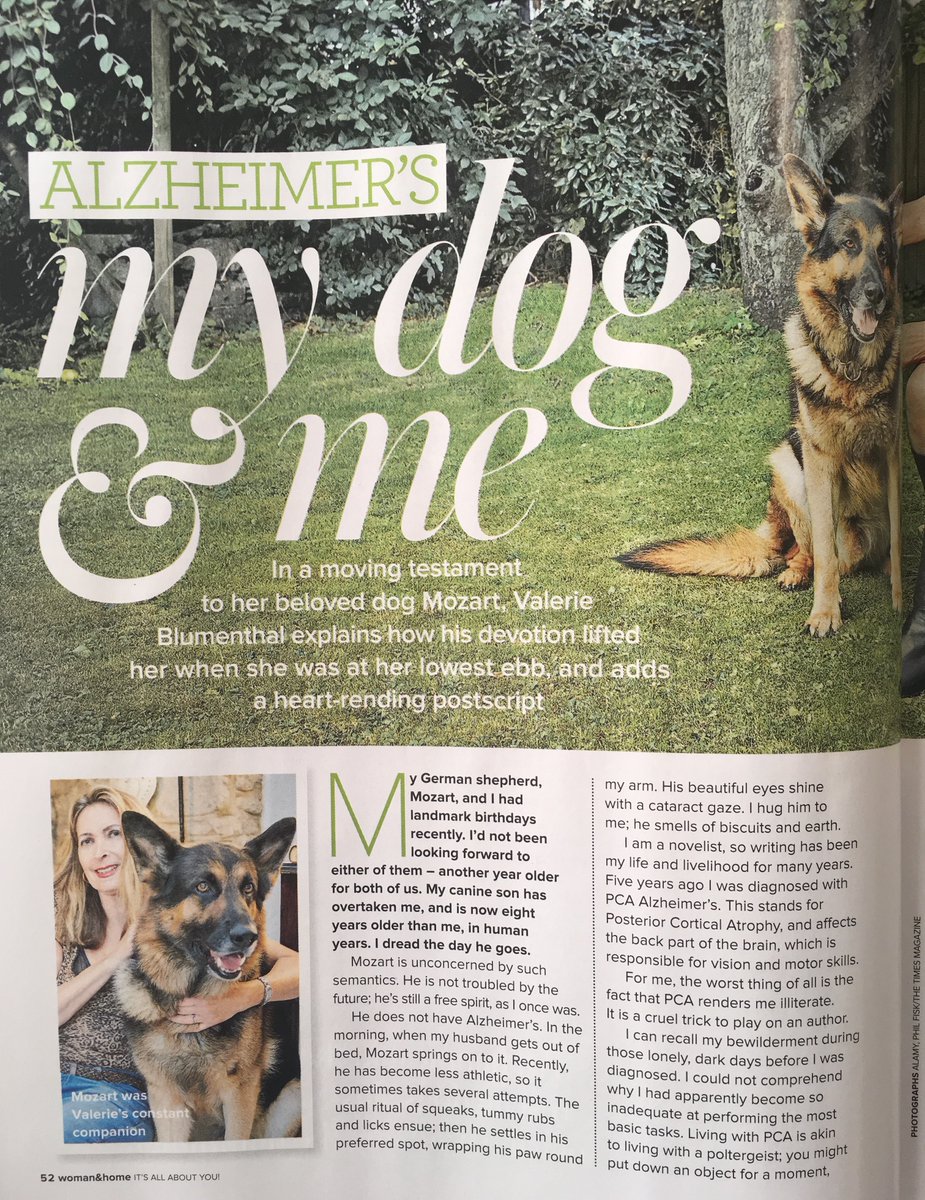 Ingrid_Stone's tweet photo. My amazing, inspiring mother @valerieblumenth in this month's @womanandhome magazine, writing about her beloved German Shepherd Mozart ๐พโค๏ธ๐พ#PCA #Alzheimers #HealingAnimals #HealingDogs @ARUKnews #PosteriorCorticalAtrophy https://t.co/6sBqEPfUQI