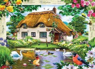 Jilliemary's tweet photo. Happy afternoon dear friends.
xxx 🌹🌺🌹🌺🌹🌺🌹🌺🌹 https://t.co/NCTtGpsokR