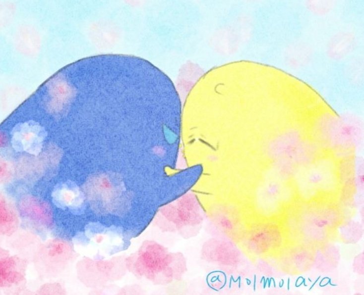 Molmolmama's tweet photo. 黒◯のバ◯ケ🏀
青💙大💙×黄💛涼💛
青黄プチ
「最強タッグ!!4」
開催を何卒お願い致します！！
🙏🙏🙏🙏🙏🙏🙏🙏🙏🙏🙏🙏🙏
💙💛💙💛💙💛💙💛💙💛💙💛 https://t.co/yPXnTOqtM7

#ひらいて赤ブー https://t.co/tiUTVt7NPc