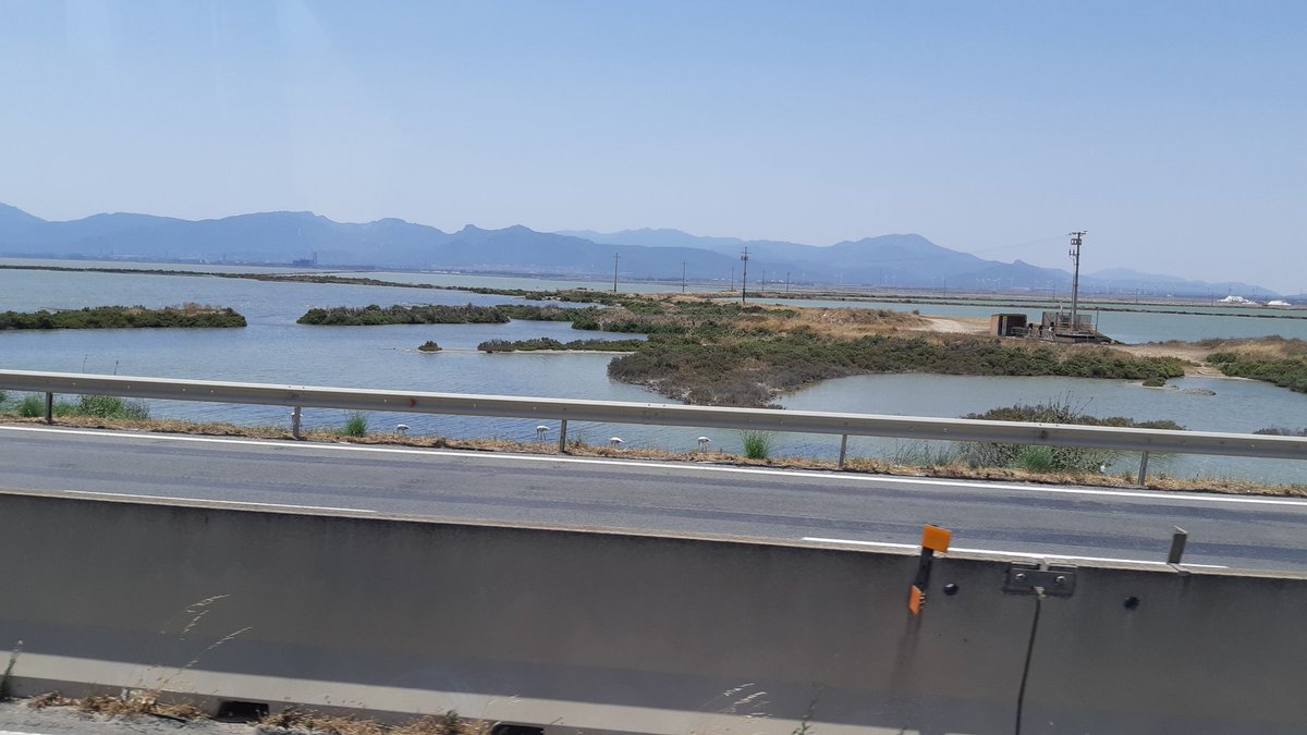 cw_vannoort's tweet photo. Day 5 #BioExcel2019 #summerschool
Headed back to the airport already 🛫
#Sardinia #flamingos https://t.co/t3inb61Roc