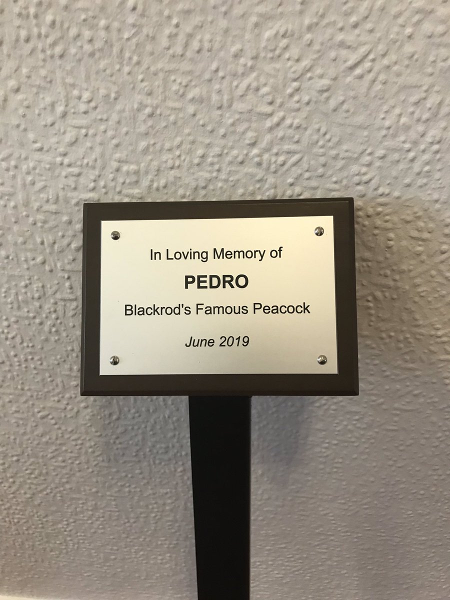 FuneralLivesey's tweet image. Giving this lovely memorial we have donated a final polish before the memorial service tomorow. #RIPPedro