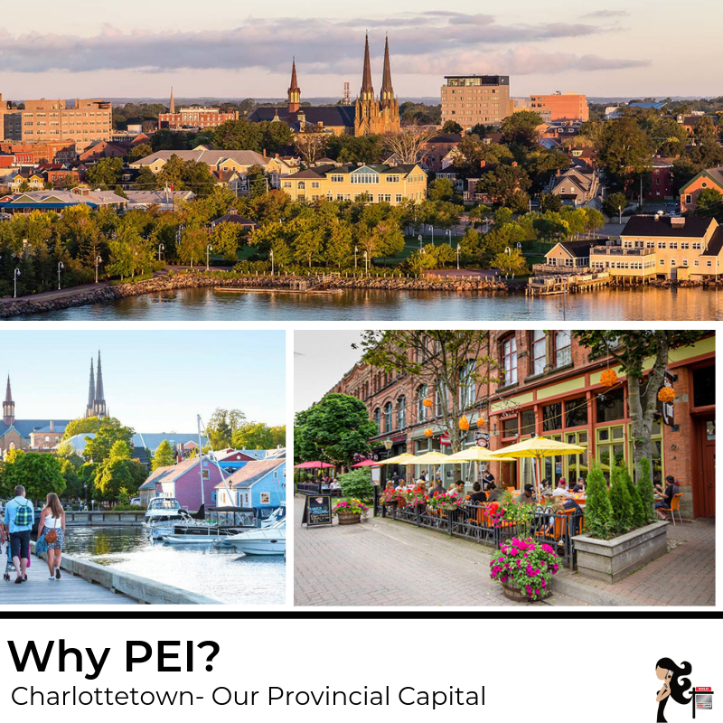 pei_robin's tweet photo. #Charlottetown is our “big city” on PEI… with approximately 38K people, it still retains the charm and hospitality of a small town.
The food, shopping and historic buildings in the downtown area alone, are worth the visit…
#robingamble #whypei #PEIhome https://t.co/KYXCYPiiCi