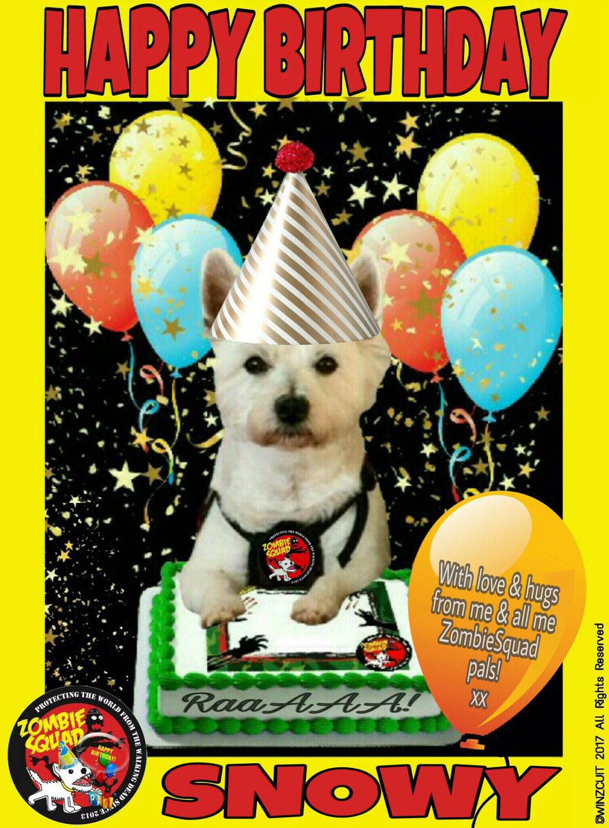 ZS Birthday🎂🎁🎉 tweet media