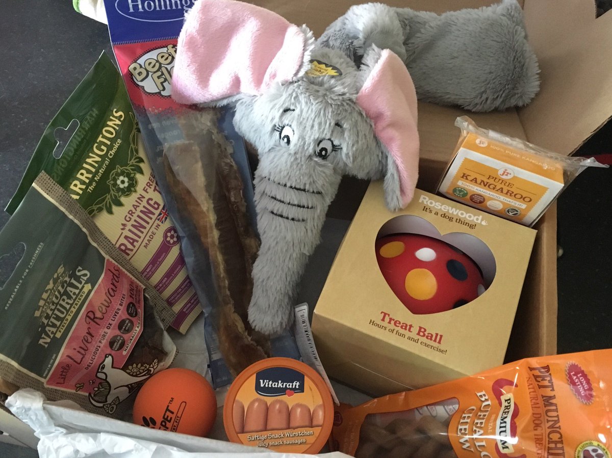 brodiethedog's tweet photo. Omg look what fren sent me! #woofbox #efelant https://t.co/3pjkis4jy8