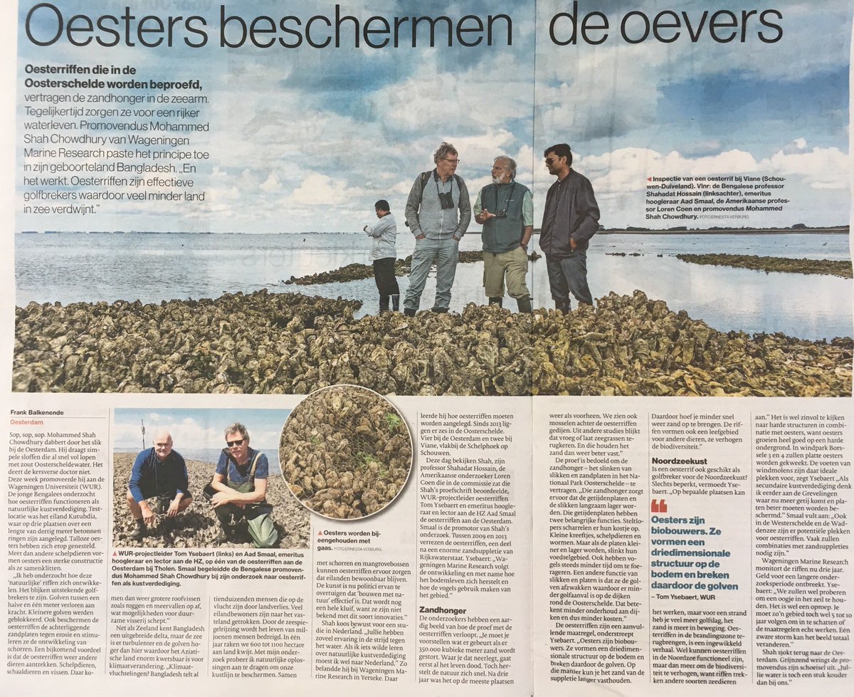 Oyster reefs for mitigating coastal erosion <a href="/WURmarine/">WUR Marine</a> <a href="/EcoShapeBwN/">EcoShape BuildingwithNature</a>