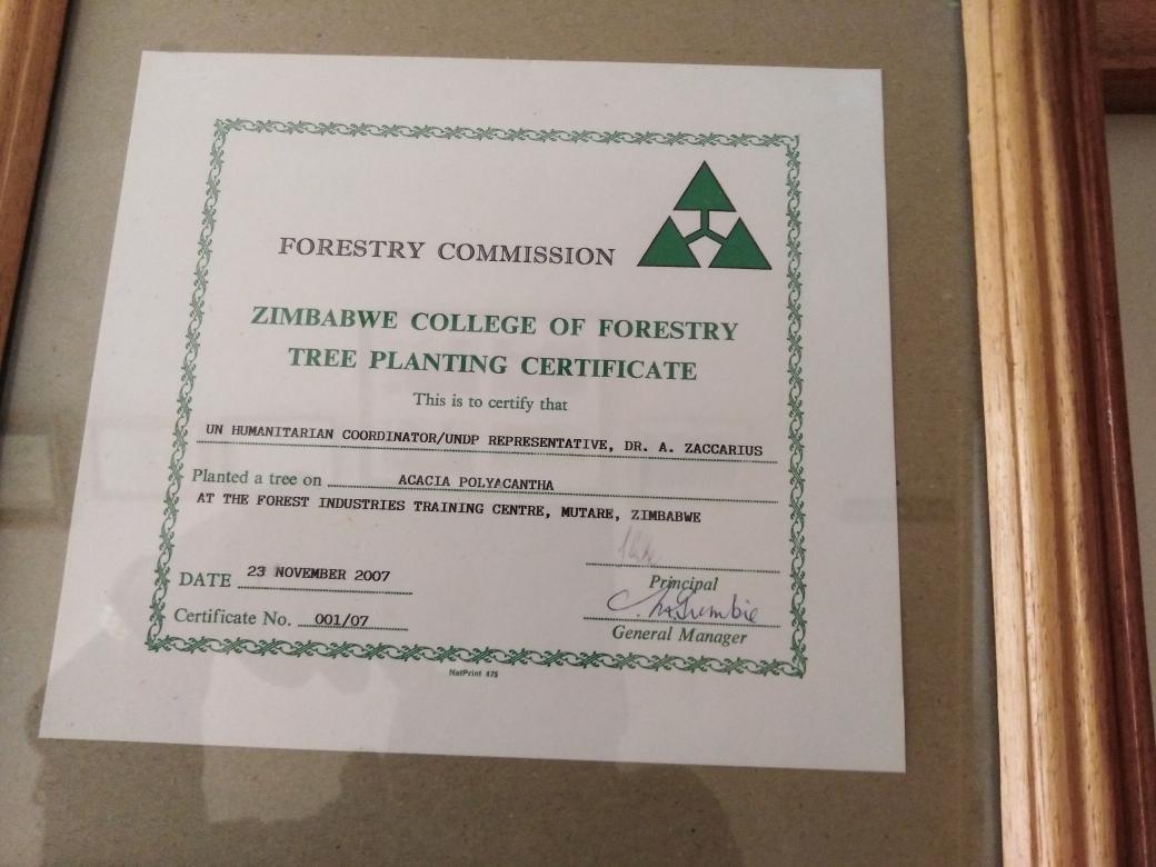ZimForest's tweet photo. One of our 2 colleges of Forestry @fitczcf has been issuing  #TreePlanting certificates to dignitaries and tree planting enthusiasts since its official opening in 1992.
#TreePlanting
@forestrycom1
@gihubphaseIII
@FOTE_Zim
@PachikoroZW https://t.co/SDijWPB8Ou