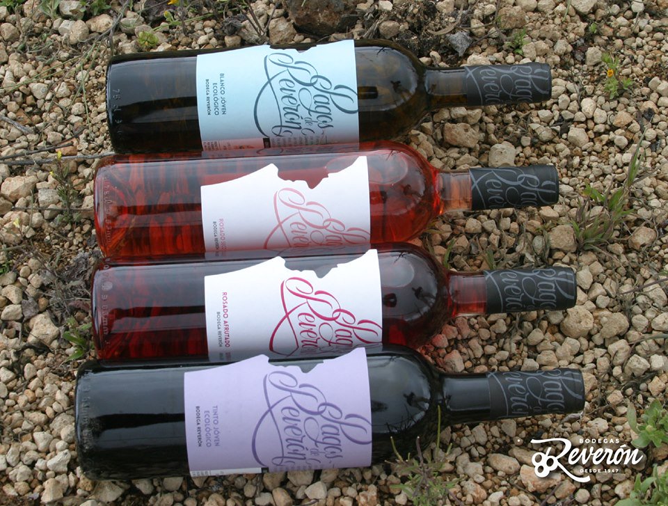 Bodega Reveron tweet media