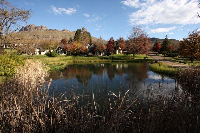 CastleburnSA's tweet photo. You haven't experienced true pastoral beauty until you have passed through the reception at Castleburn 😍 What are you waiting for 👉 https://t.co/mPeiu3CGpL #LegacyHotels https://t.co/2qhGTGqkjX