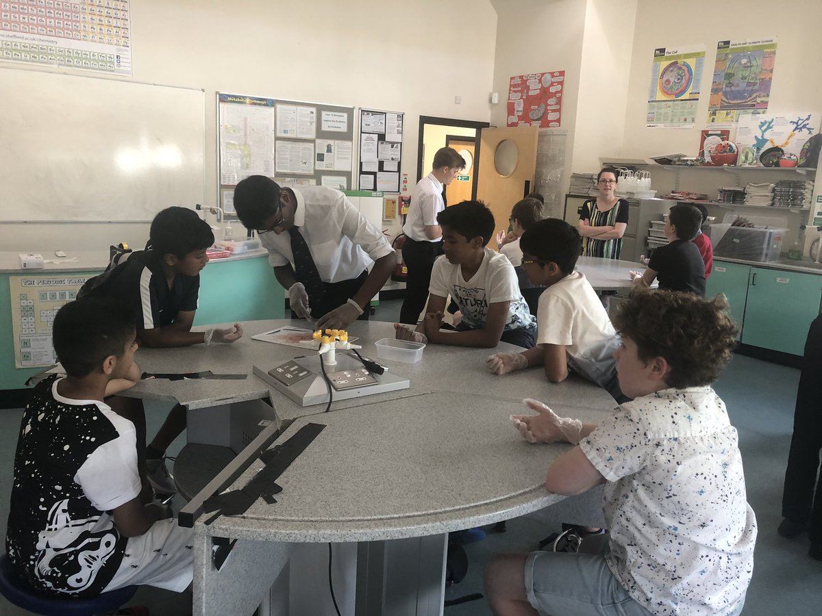 HA_BiologyDept's tweet photo. Lovely to meet our new 7W... we were very impressed with the knowledge you already have about the heart and hope you enjoyed the dissection. Thank you to our L6th biologists for performing the dissections and sharing your expertise. #proudteacher #year7induction @HA_WebbHouse https://t.co/G66joZiWqp