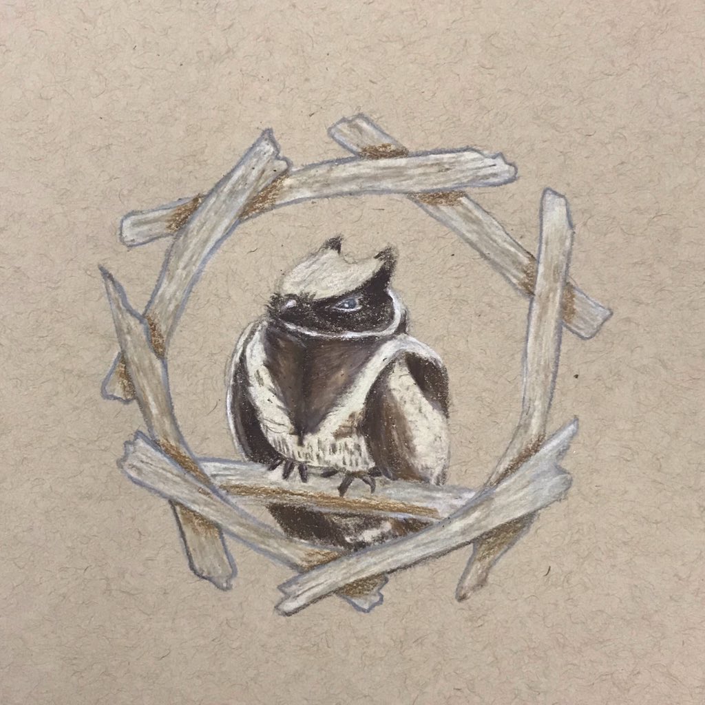 Elizardc_Arts's tweet photo. This is the Great Eared #Nightjar. They’re nocturnal little birbs that are not owls. They’re so cute. I can’t deal with this challenge y’all. Birbs are great. 
Day 5: Nightjar
197/365
#birdsofjuly #birdsofjuly2019 #edcbirdsofjuly #prismacolorpencils #prismacolor #tonedpaper https://t.co/bX9GBG0LEv