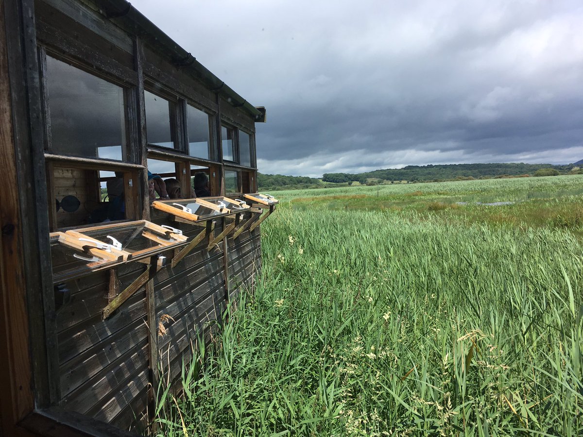 RC Brady tweet media