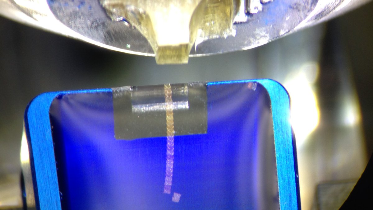 Christi23003438's tweet image. During my PhD in Bonn I gained experience to perform longitudinal ultra-thin #sectioning of an adherent cell #monolayer: Here, I generated consecutive 65 nm thin plastic sections making the #cell volume accessible for #electronmicroscopy. The pyramid includes about 100 cells!