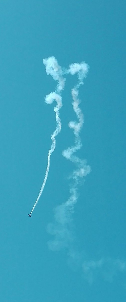 Bunny en programme libre, magnifique ! 👏