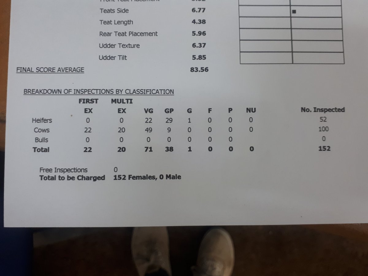 Unreal day classifying. 2 x EX95 nominations, a max score 3rd Calf,  42% VG 2yo and 117 EX cows now currently in the herd!