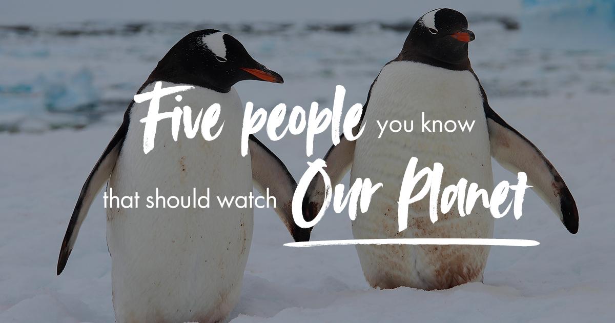 According to David Attenborough, climate change is humanity's greatest threat in thousands of years 🌍

That's why we've come up with a list of five people in your life that should watch Our Planet - because the more people that make a change, the better!

preview.tinyurl.com/yxmszmo7