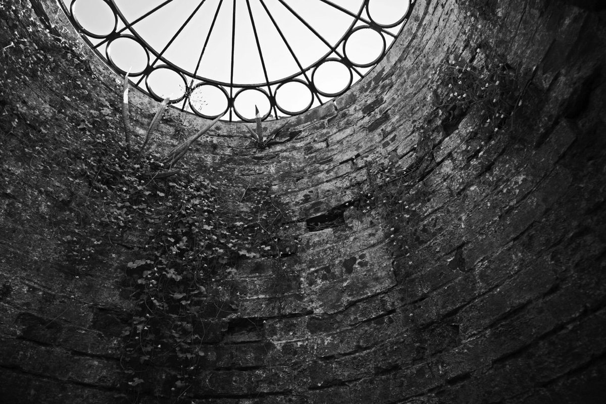 moragzukphoto's tweet photo. down the well (it’s not really a well) #photography #blackandwhitephotography #monochrome #foliage #brickpatterns https://t.co/NceothSGQZ