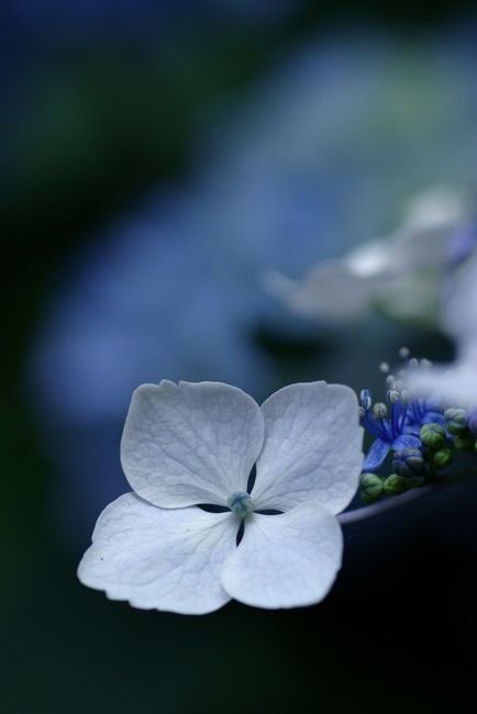 무식함은
많이 배우고
적게 배움에서 나오는게 아니라

그 사람의
인격과 인품에서 들어난다

당신의 말과 행동을 조심하라
누군가는 당신을 평가하고 있다