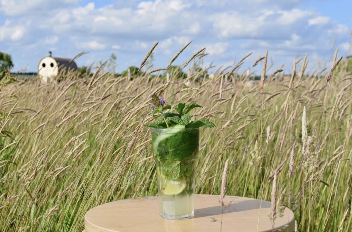 CambridgePaus's tweet photo. We are fully booked for this evening’s session. Only a few bathing tickets remain for this weekend...
🌾
Looking forward to welcoming you all https://t.co/zCeXxXEBzg