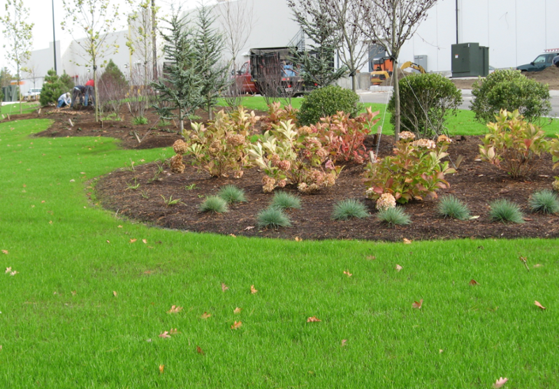 With one call to the G. Lopes company, we can help facilitate just about any job on your lot. No need to wrangle foreman and workers, and manage multiple points of contact. Our team is comprised of professional and highly experienced &amp; trained staff, dedicated to making sure eve