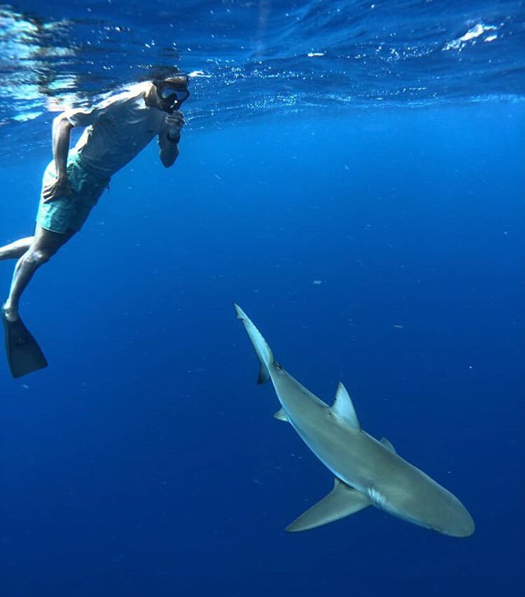 SpursUnltd's tweet photo. @aldridge_12 and @manuginobili swimming #LaSharkus &amp; #BatManu https://t.co/BUobu4wqIG