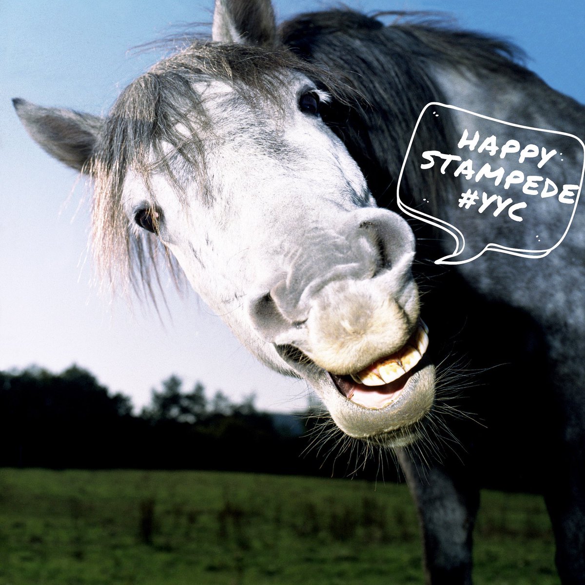 Wishing everyone a fun, safe and exciting Stampede! #calgarystampede #yycliving