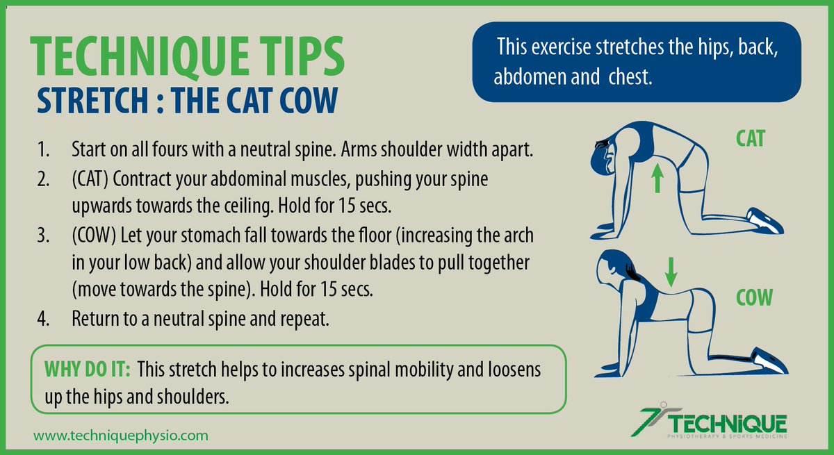 A great stretch that helps to increases spinal mobility and loosens up the hips and shoulders. 🐱🐮 #catcow #stretch #spinemobility