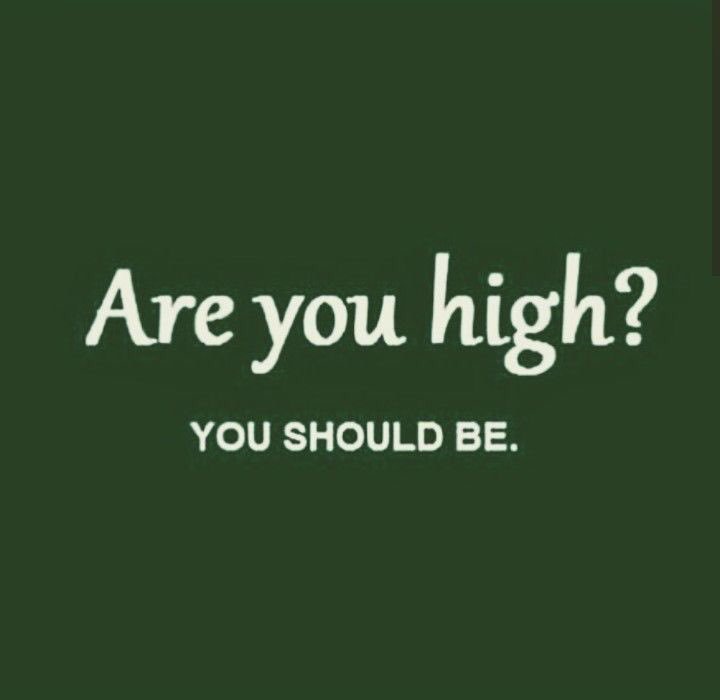 Bklynbby's tweet photo. #FridayThoughts 💨💨💨💚 https://t.co/3uHjGJJBta